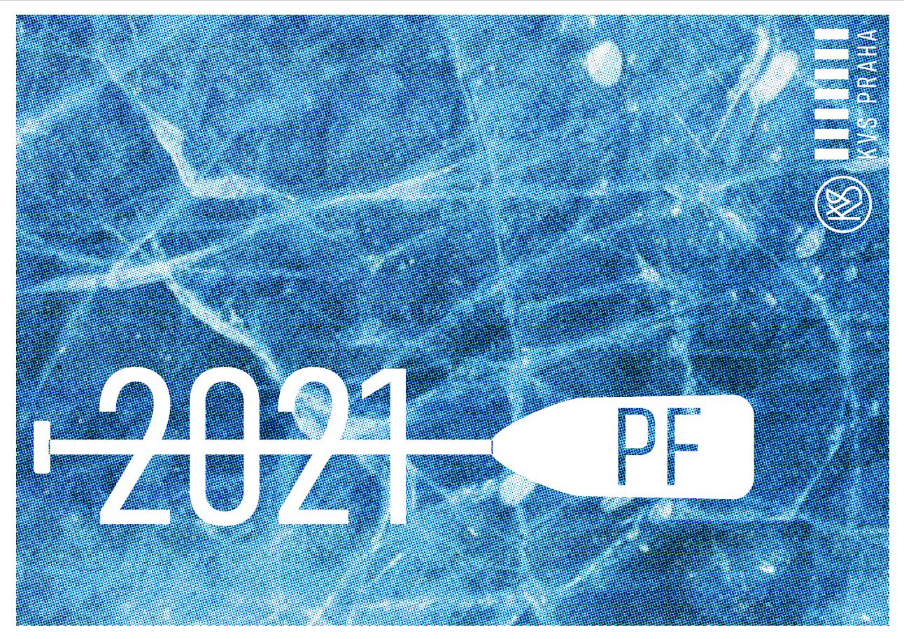 pf-kvs-2021.jpg